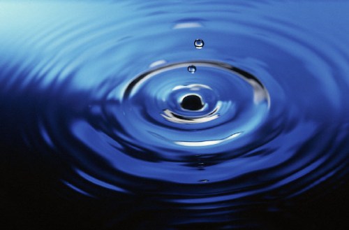 Media_httpbendubowsqu_wgjta