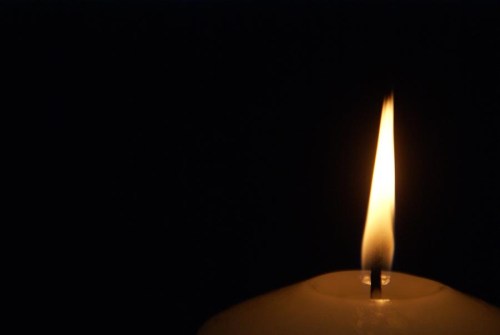 Media_httpbendubowsqu_lqsta