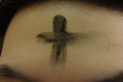 Media_httpbendubowsqu_gepzg