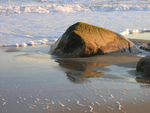 Media_httpbendubowsqu_dccjp