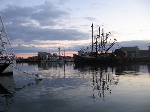 Media_httpbendubowsqu_dcyth